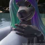 LewdWhaleShark from fansly