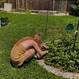 chaoticmusefree from onlyfans