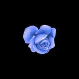 eroticacai from onlyfans