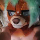 stephiedeer from onlyfans