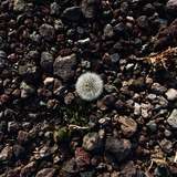 theartguy666 from onlyfans