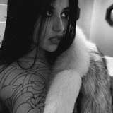 vixenfurs from onlyfans