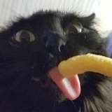 wyvern666 from onlyfans