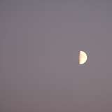 spekkicha from onlyfans