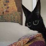 femfeetboi42 from onlyfans