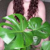 shyhighchey from onlyfans