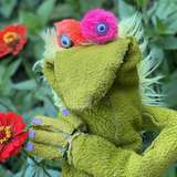 esmereldathepuppet from onlyfans