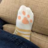 kittycatstompers from onlyfans