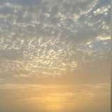 texantales from onlyfans