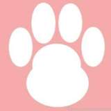 527547009578577920 from fansly