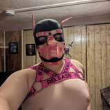 pupvibe from onlyfans